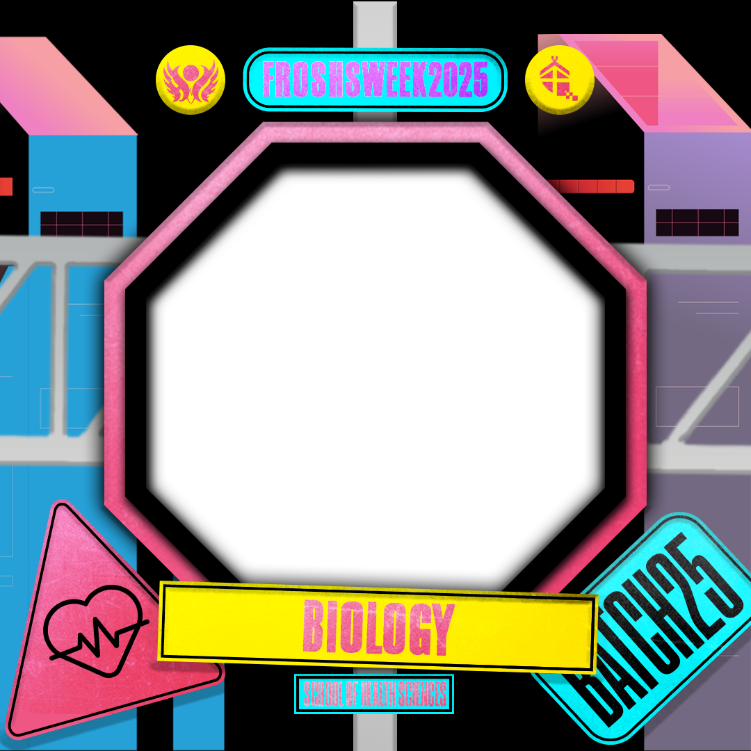 frame